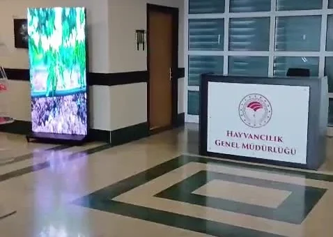 Hayvancılık Genel Müdürlüğü Ankara tekerlekli P1.86 GOB dikey LED ekran
